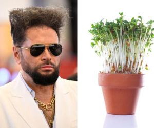 Rzeżuchy które wyglądają jak Krzysztof Rutkowski i jego legendarne fryzury