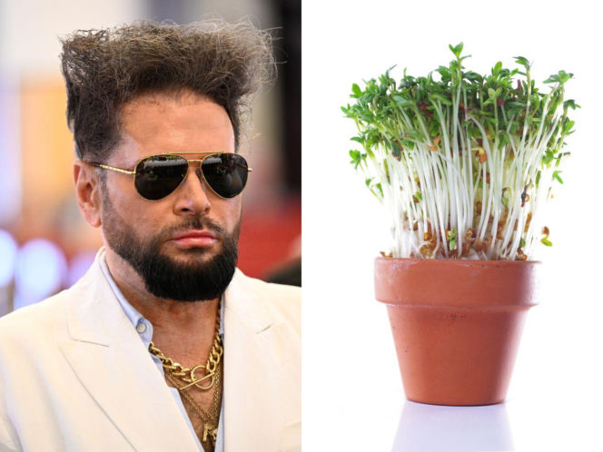 Rzeżuchy które wyglądają jak Krzysztof Rutkowski i jego legendarne fryzury