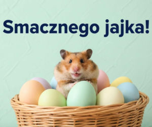 Ruchome obrazki na Wielkanoc 2026. Piękne i wzruszające animacje za darmo