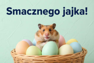 Ruchome obrazki na Wielkanoc 2026. Piękne i wzruszające animacje za darmo