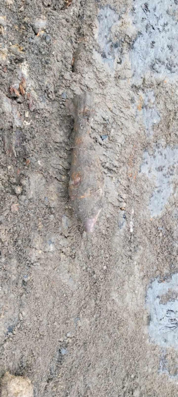 Bomba w Kołobrzegu. Zarządzono ewakuację sklepów 