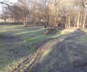 Tak obecnie wygląda Park Rzeczny Ogród Płaszów