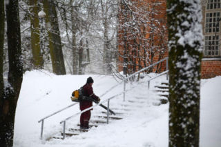 Odśnieżanie dmuchawą do liści – zawieje i zamiecie. Jaka najlepsza? Gdzie nie wolno używać dmuchawy na liście?