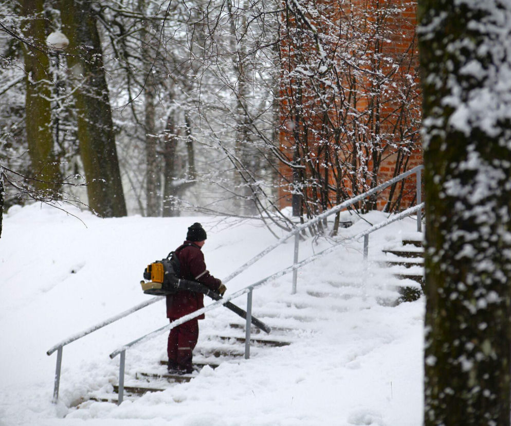 Odśnieżanie dmuchawą do liści – zawieje i zamiecie. Jaka najlepsza? Gdzie nie wolno używać dmuchawy na liście?