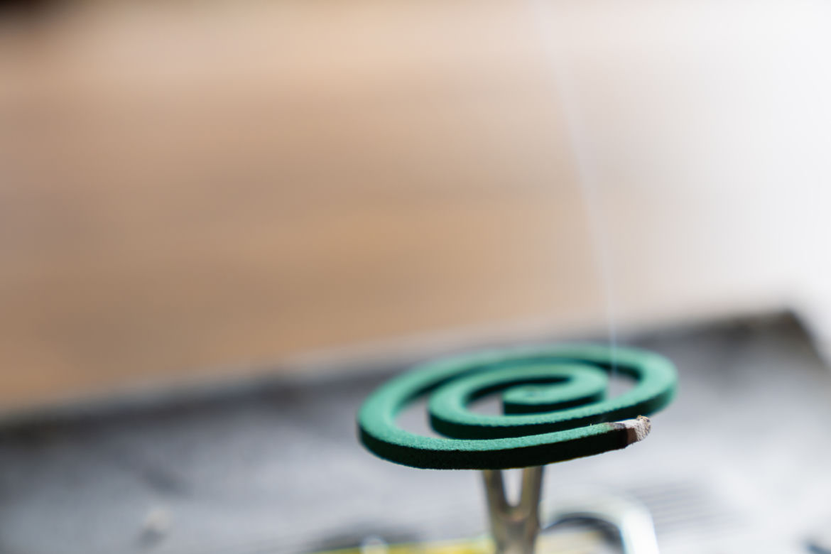Co odstrasza komary? Fumigatory, repelenty, lampki na komary
