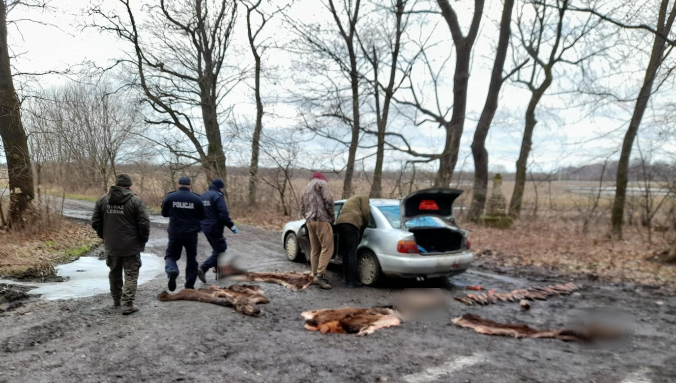 Zwłoki w bagażniku, w domu stos czaszek. Wpadł, bo ugrzązł w błocie