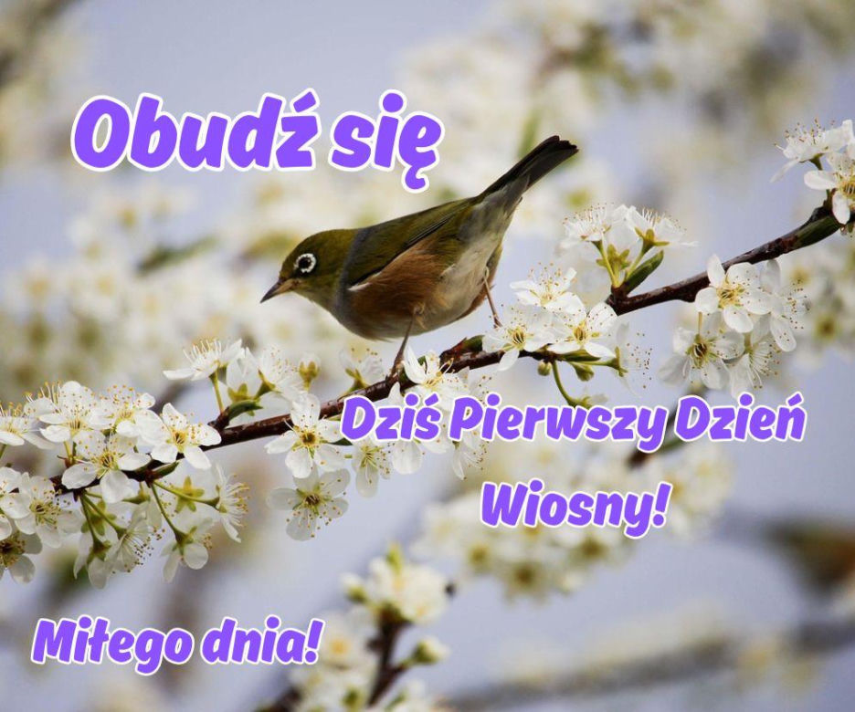 Kartki na pierwszy dzień wiosny 21 marca
