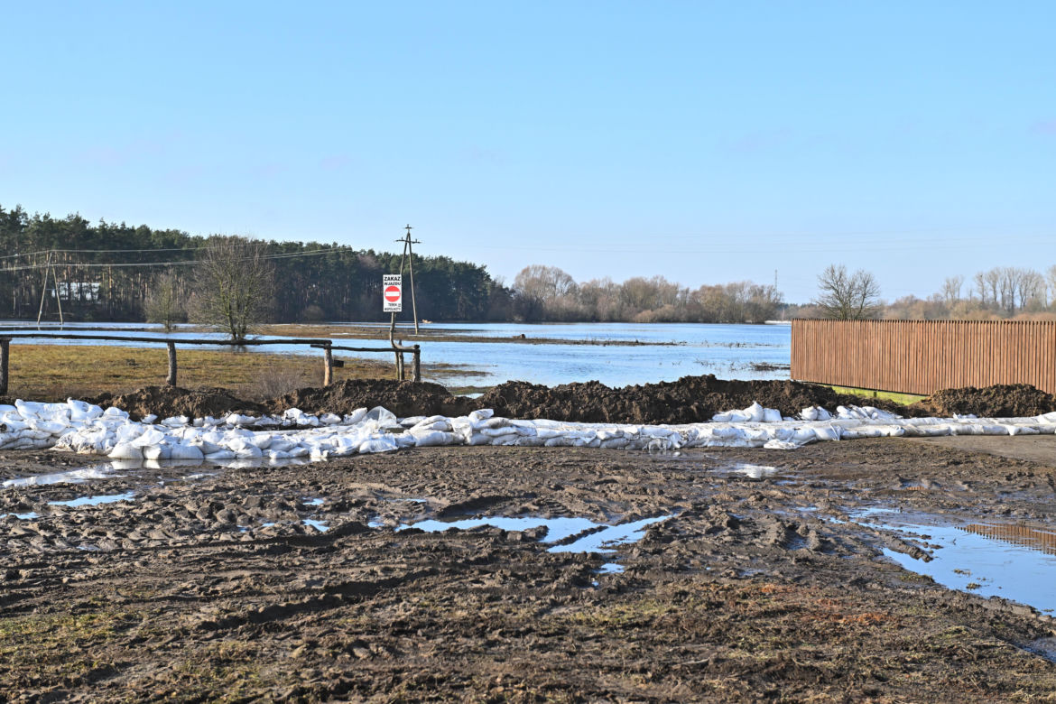 Kamieńczyk (mazowieckie)