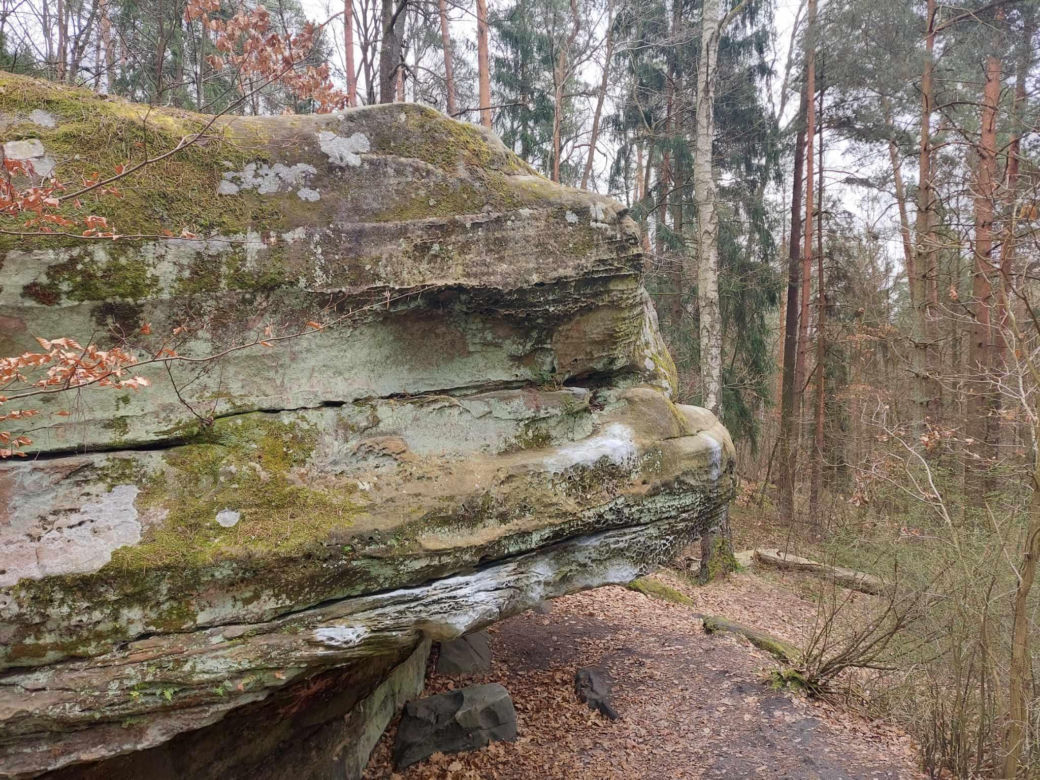 Rezerwat Przyrody "Skały pod Adamowem"