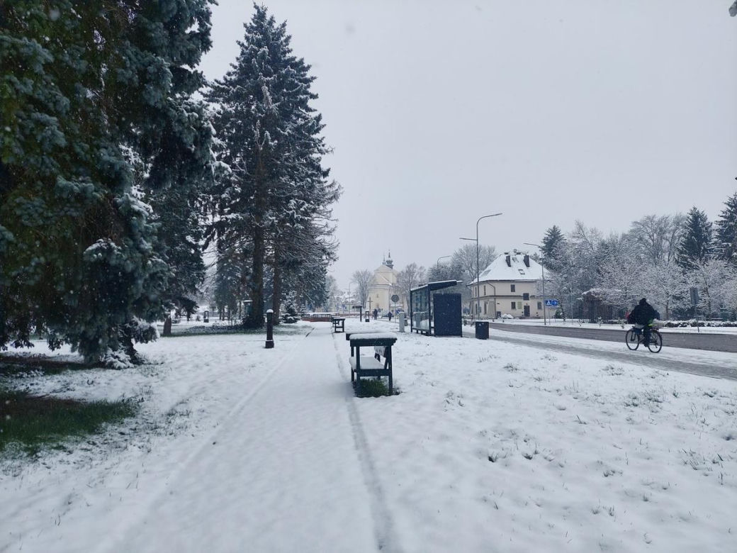 Zima w kwietniowym Zamościu. Sypnęło śniegiem