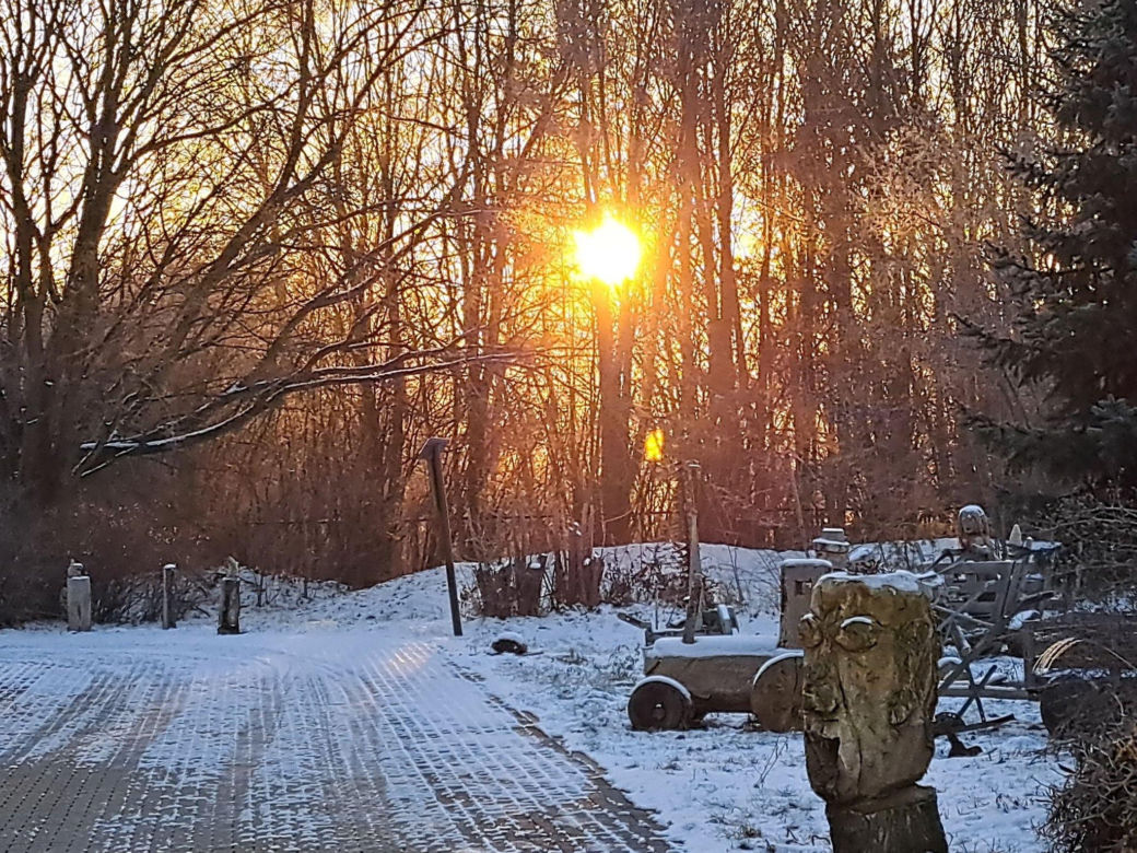 Bydgoszczanie słabo znają ten ogród, a jest wyjątkowy w skali kraju. Chodźcie na drzwi otwarte! [ZDJĘCIA]