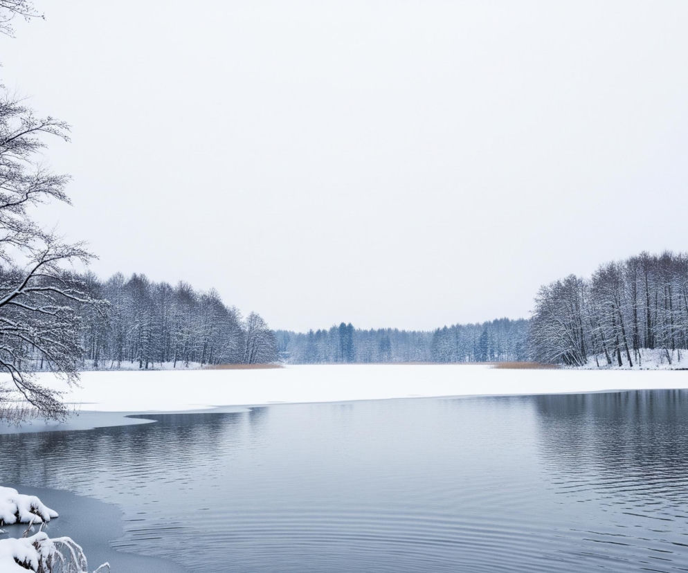 Rozległy, zimowy krajobraz ukazuje zamarznięte jezioro lub staw, częściowo pokryty lodem i śniegiem. Lewa strona brzegu porośnięta jest drzewami z czarnymi, gołymi gałęziami, pokrytymi warstwą białego śniegu, które delikatnie zwieszają się nad wodą. Na prawym brzegu widoczna jest linia gęstego lasu, również pokrytego śniegiem, odzwierciedlająca się w ciemnej, lustrzanej tafli wody. Daleki brzeg jeziora jest całkowicie pokryty śniegiem, z wyraźnym pasem trzcin pośrodku. Całość skąpana jest w szarym, zimowym świetle, pod jasnym, bezchmurnym niebem.