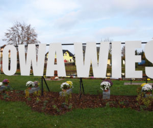 Wyjątkowo kolorowa jesień w Gminie Iława. Wszędzie chryzantemny!
