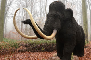 Wola: Nowym symbolem dzielnicy będzie... mamut! [AUDIO]