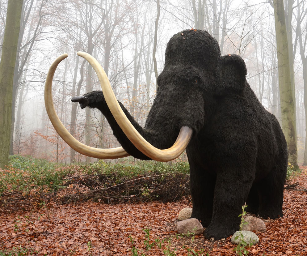 Mamut symbolem Woli