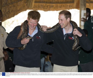 William i Harry bawią się wężem 