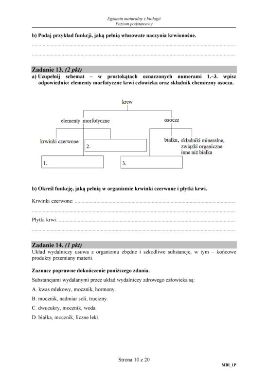 Matura 2018 z biologii. Poziom podstawowy - arkusze CKE