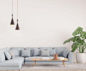 Rośliny w minimalistycznych wnętrzach