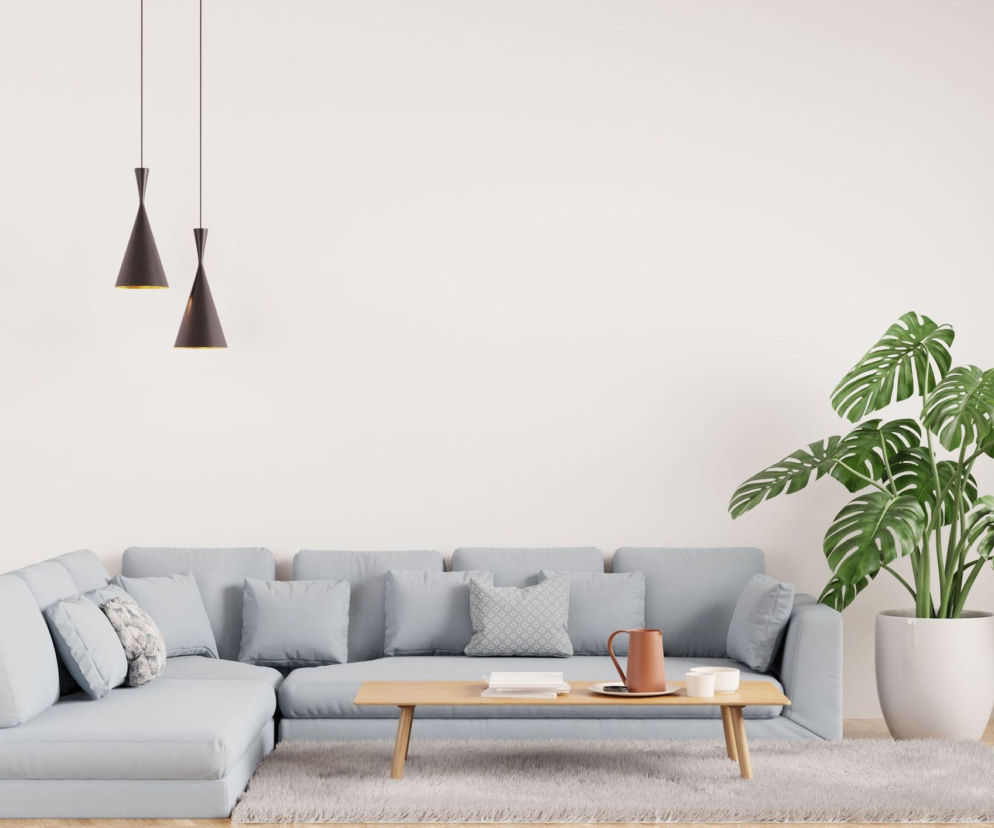 Idealne rośliny do wnętrz w stylu minimalistycznym