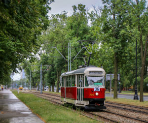 Warszawska podróż w czasie. Kultowe „Parówki”, Ikarusy i Jelcze wracają na trasy
