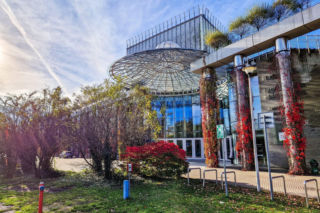 Wspólne kiszenie ogórków i konkurs na najlepsze letnie przetwory. Przed nami Imieniny lata z Tradycją