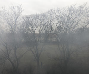 Pożar na wrocławskim Sępolnie we Wrocławiu 
