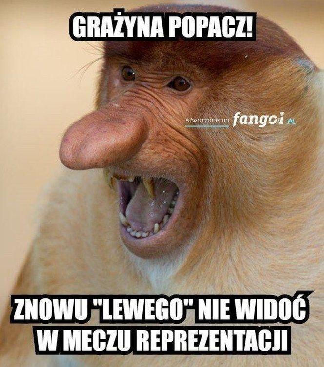 Memy po meczu Polska – Holandia zalały internet