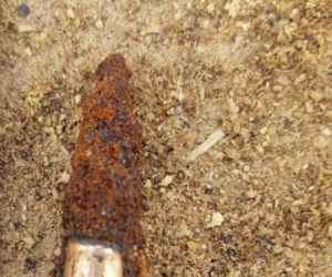 Amunicja na terenie gospodarstwa rolnego w Kujawsko-Pomorskiem. Interweniowali saperzy 