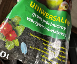Aktualne ceny podłoża do roślin doniczkowych