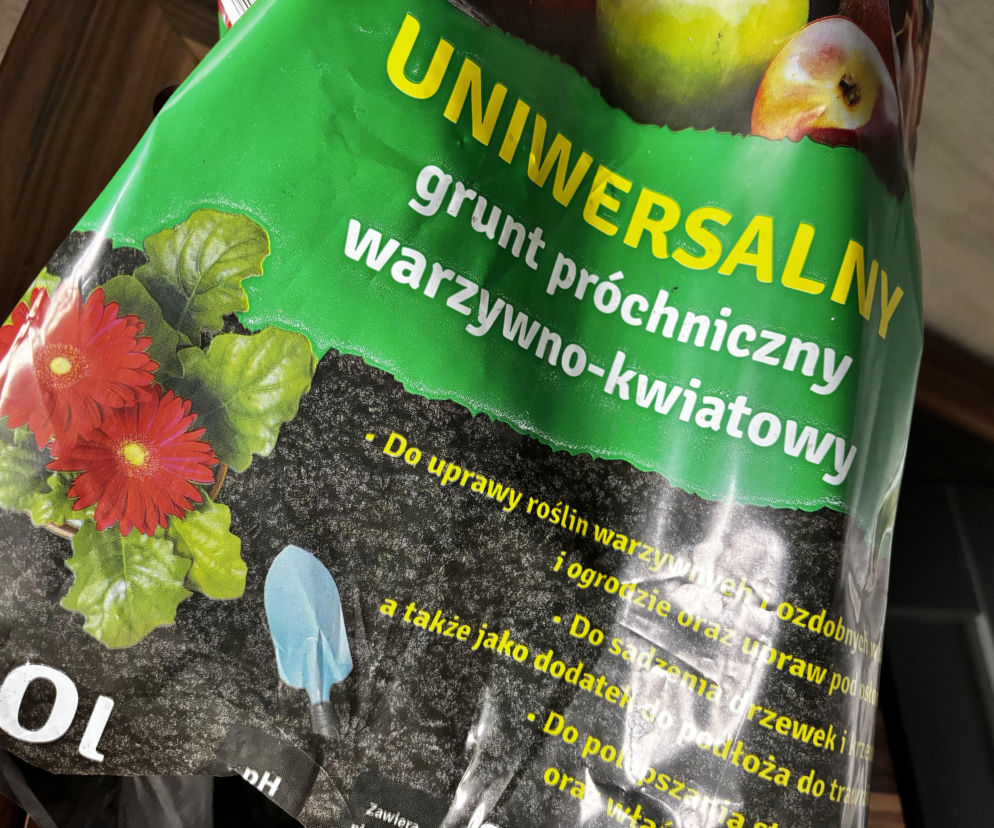 Aktualne ceny podłoża do roślin doniczkowych