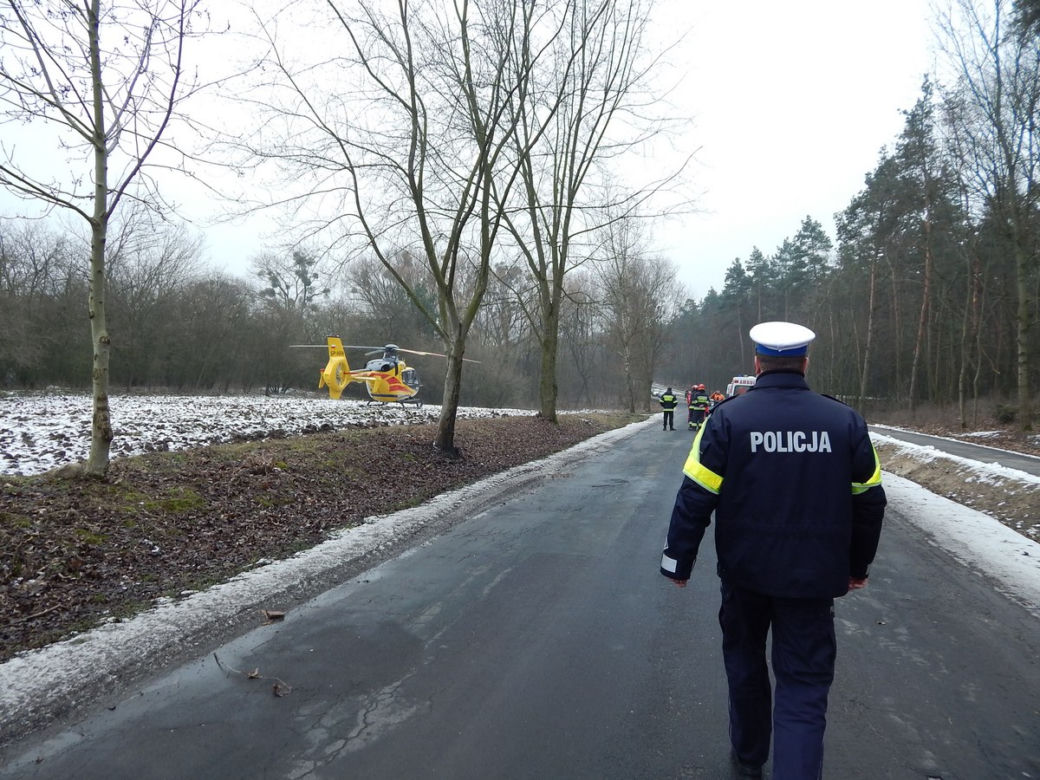 Wypadek przy wycince drzew - mężczyzna miał 0,9 promila