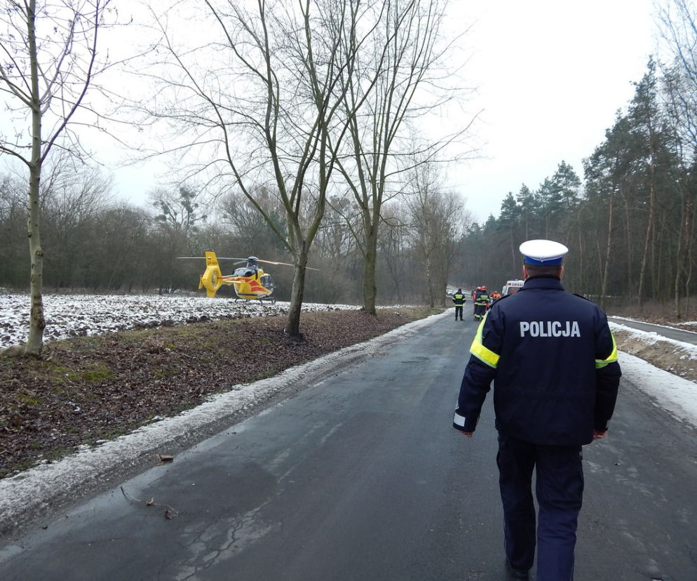 Wypadek przy wycince drzew - mężczyzna miał 0,9 promila