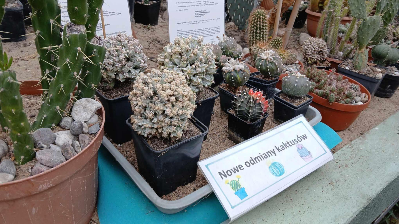 Spacer po ogrodzie botanicznym odbywa się w dniach 18 i 19 stycznia