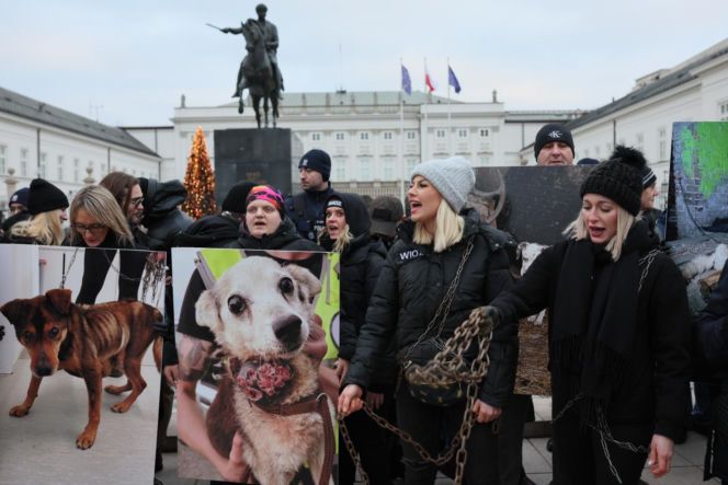 Wielki Marsz dla Zwierząt po wecie prezydenta