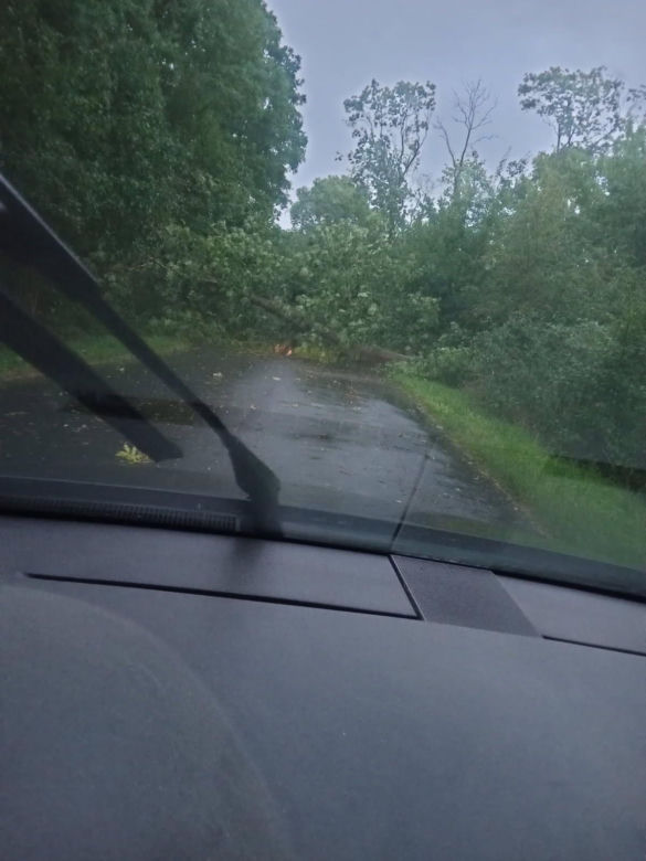 Potężna wichura w Wielkopolsce! Zerwane dachy, powalone drzewa i ogromne zniszczenia