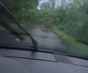 Potężna wichura w Wielkopolsce! Zerwane dachy, powalone drzewa i ogromne zniszczenia