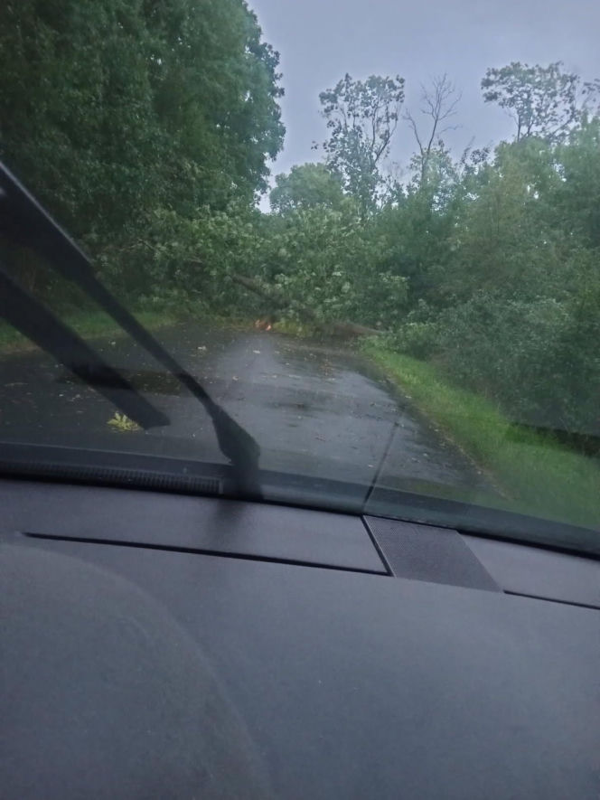 Potężna wichura w Wielkopolsce! Zerwane dachy, powalone drzewa i ogromne zniszczenia