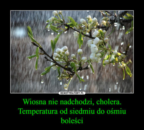 Wiosna 2017