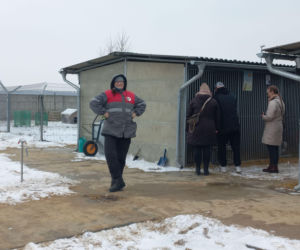 Mruczki w roli głównej. Dzień Kota w schronisku dla bezdomnych zwierząt w Henrykowie