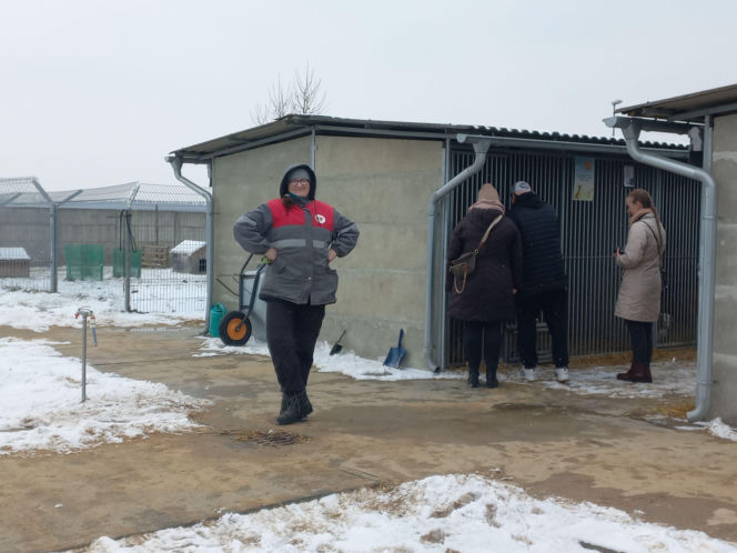 Mruczki w roli głównej. Dzień Kota w schronisku dla bezdomnych zwierząt w Henrykowie