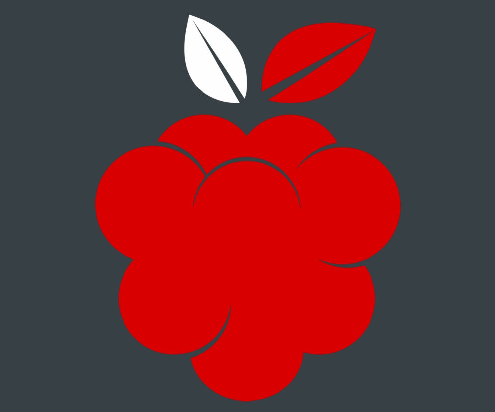 balladyna malina narodowe czytanie banner
