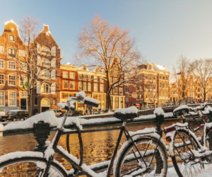 Ferie zimowe 2016: Amsterdam