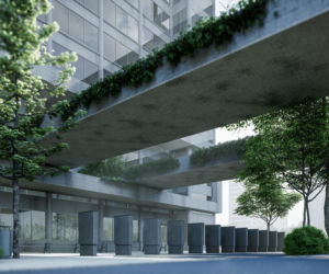 Jak biophilic design zwiększa atrakcyjność obiektów komercyjnych?