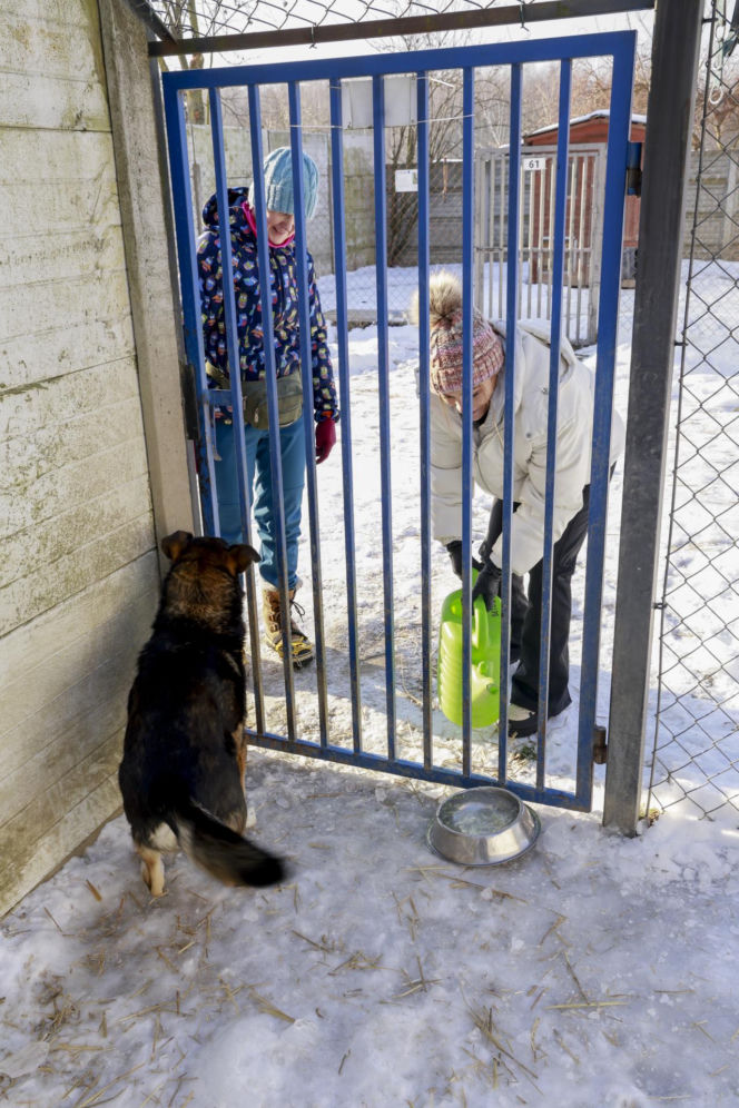 Marta Krupa z pomocą dla zwierząt. Nakarmiła psy i koty w potrzebie