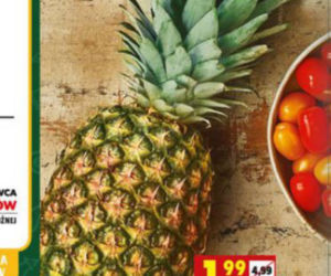 Nowe promocje w Biedronce