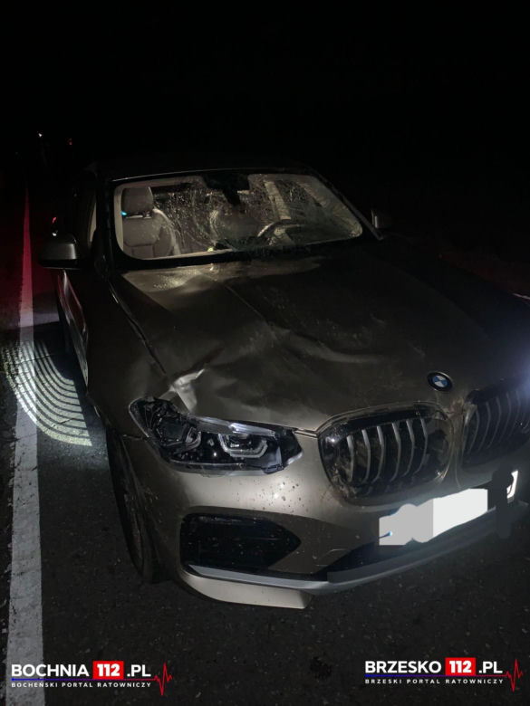 Kierujący bmw dwukrotnie zderzył się z jeleniem