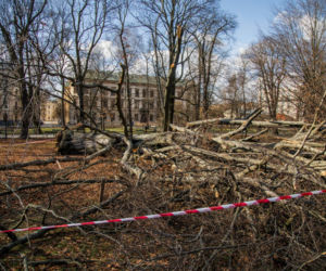 Niż Eunice sieje spustoszenie. Dramatyczne skutki wichury w Polsce