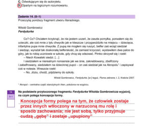 Matura 2026 polski: Arkusze CKE i odpowiedzi - sprawdź, czy zdałeś!