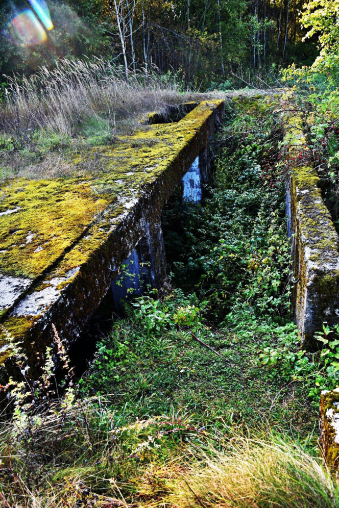 Tajemnicza podziemna hala w woj. warmińsko-mazurskim. Nikt nie wie, co tam się znajdowało