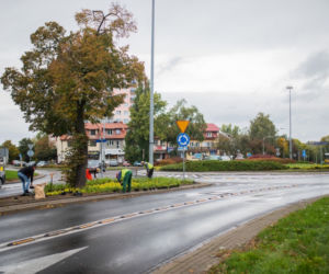 Jakie płuca ma Płock? W niedalekiej przyszłości na pewno zielone